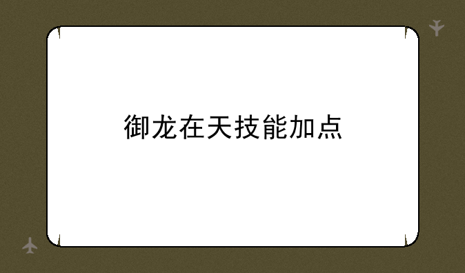 御龙在天技能加点