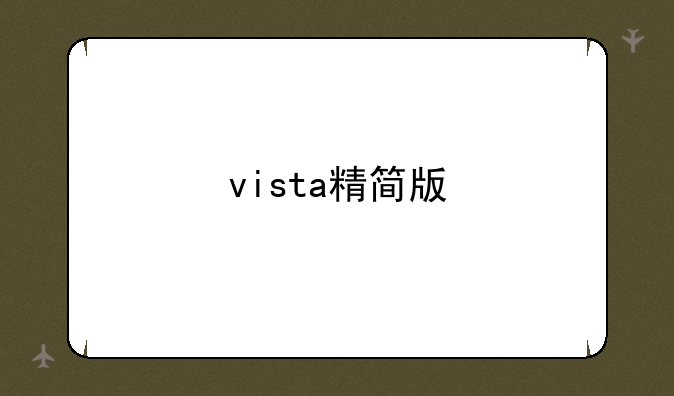 vista精简版