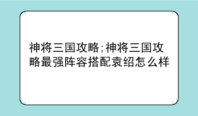 神将三国攻略;神将三国攻略最强阵容搭配袁绍怎么样