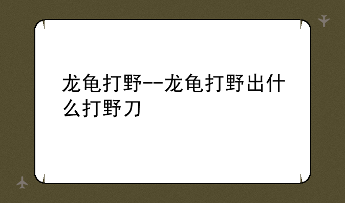 龙龟打野--龙龟打野出什么打野刀